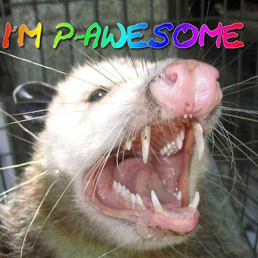 Zachary Roberson Photo 10