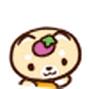 Wai Ho Photo 39