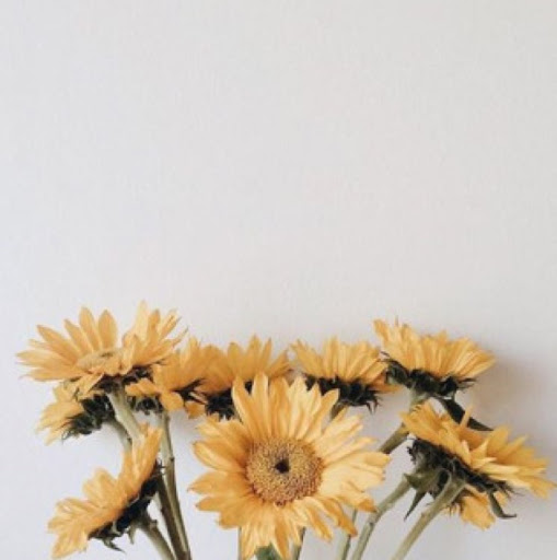 Cynthia Gardner Photo 7