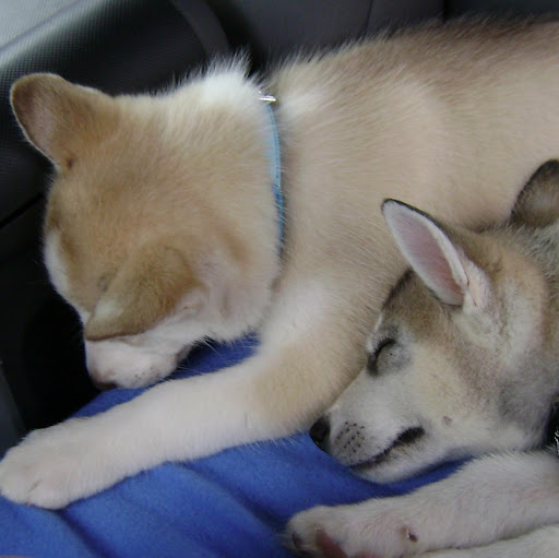 Samantha Edwards Photo 46 Samantha Edwards Photo 46