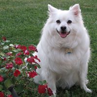 Betty Ross Photo 28 Betty Ross Photo 28