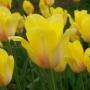 Amy Beyer Photo 40