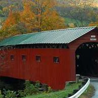 Nancy Holbrook Photo 11