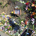 Steven Gough Photo 37
