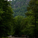 Albert Summers Photo 16