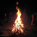 Lee Botts Photo 8