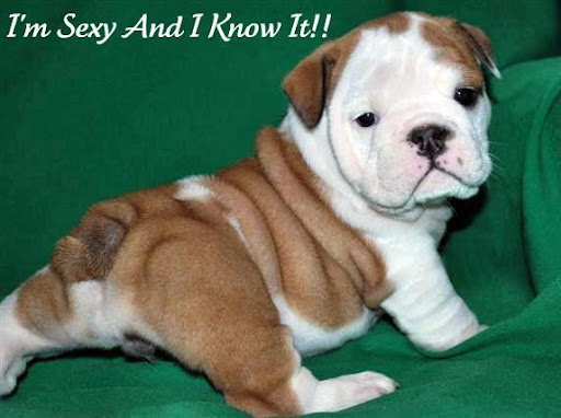 Breanna Davidson Photo 1