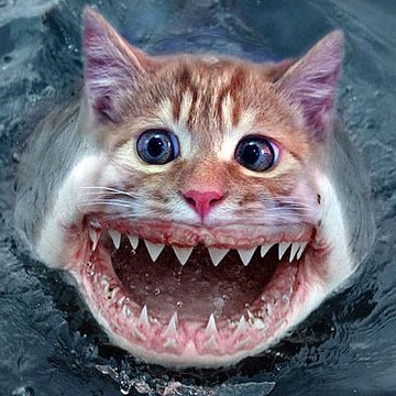 Dennis Mcclain Photo 32