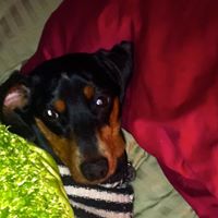 Oscar Robertson Photo 25 Oscar Robertson Photo 25