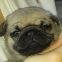 Deborah Fielding Photo 3