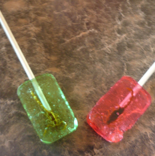 Alexandra Lang Photo 26