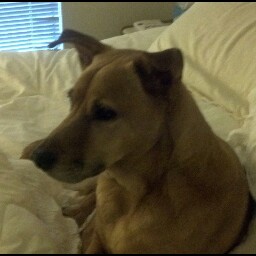 Michele Mcconnell Photo 8