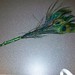 Elizabeth Hauser Photo 10