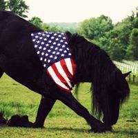 Debbie Finley Photo 16