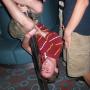 Robert Barry Photo 24