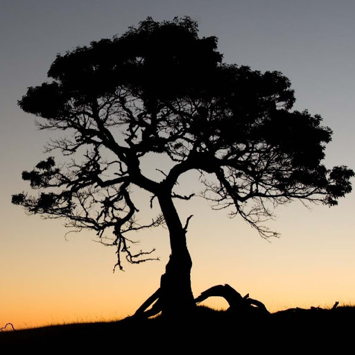 Mike Hartman Photo 41