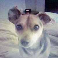 Roger Chapman Photo 45