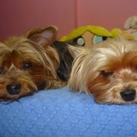 Mariah Torres Photo 26