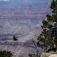 Jack Armstrong Photo 26