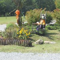 Connie Carver Photo 22