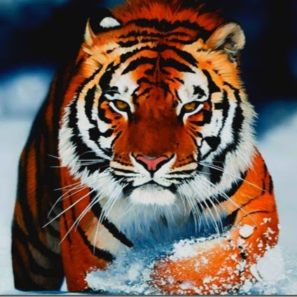 Regan Payne Photo 10