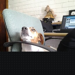 Marilyn Roberts Photo 16