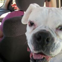 Phyllis Douglass Photo 3