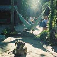 Kevin Morrow Photo 25