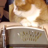 Kristine Larson Photo 25