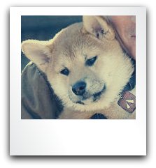 Paula Tejada Photo 19