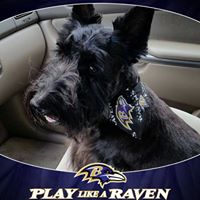 Paula Riley Photo 21