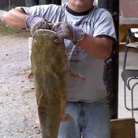 Daniel Goins Photo 24