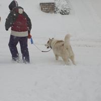 Rebecca Leeper Photo 15