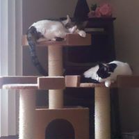 Lisa Stumpf Photo 11