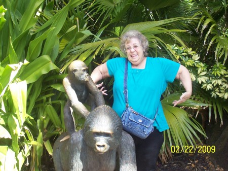 Sandra Marsh Photo 25