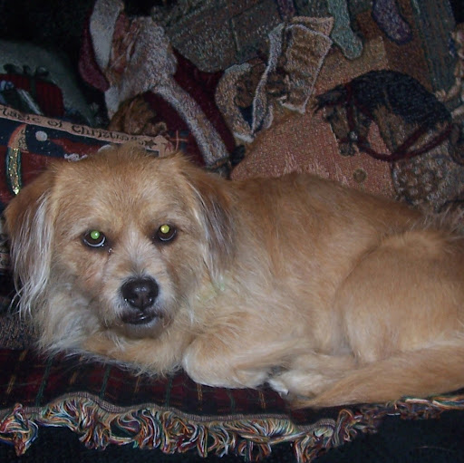 Denise Heath Photo 12