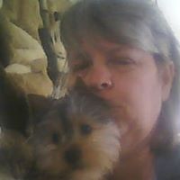 Linda Wolcott Photo 38