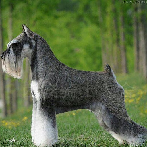 Pablo Velazquez Photo 32