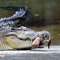 Bill Stuart Photo 31