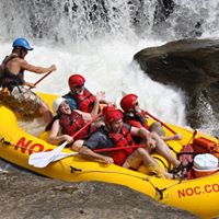 Ellen Wolfe Photo 13