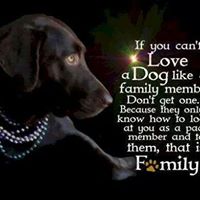 Kathy Durand Photo 10