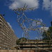 Ben Long Photo 4