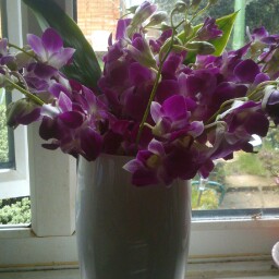 Irene Gordon Photo 15