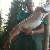 Michael Gould Photo 29