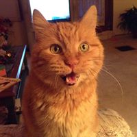 Cindy Kessel Photo 3