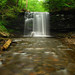 Glen Harrison Photo 19