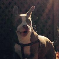 Paul Stuart Photo 15