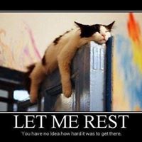 Janet Wegner Photo 15