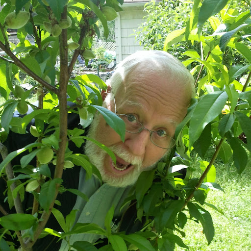 Harold Harmon Photo 17