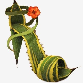 Carolyn Schmitz Photo 19